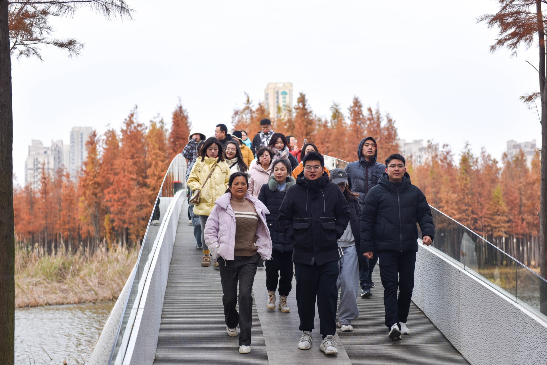 我司健儿齐聚南昌高新区，共赴“两企三新”青年迎新健步行